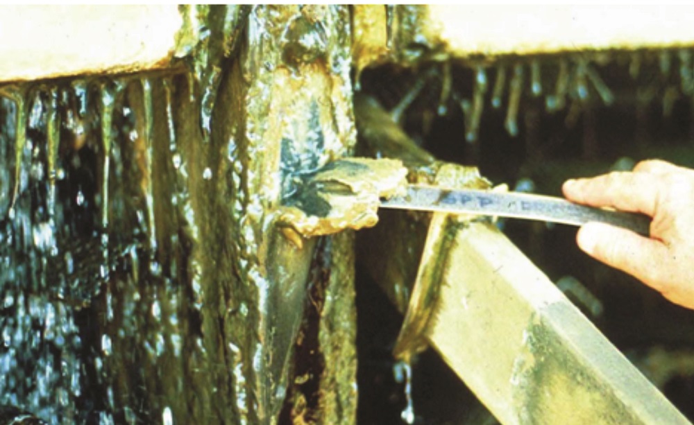 Image 2: Organic and microbial fouling in a cooling tower