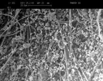 Figure 3: Scanning electron microscopic image illustrating particle-loaded HEPA filter